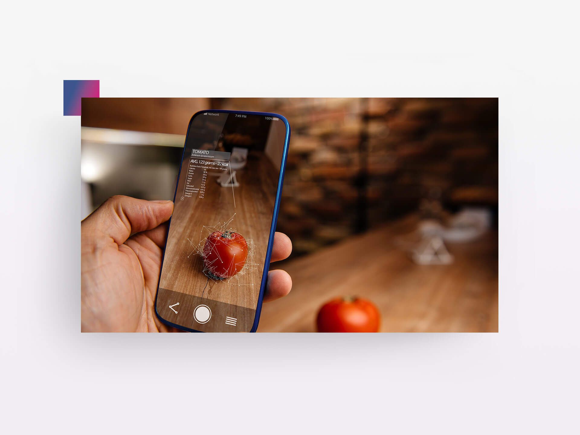 Smart Phone fotografiert Tomate, die über KI analysiert wird