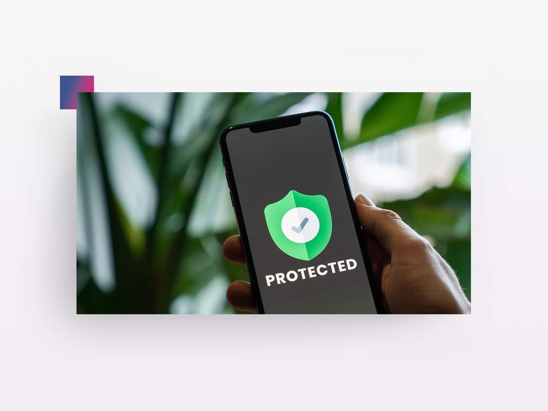 Smartphone mit Schriftzug "Protected" und grünem Wappen