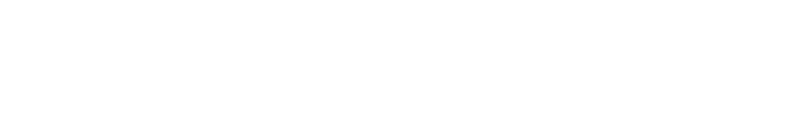 Logo Shopify Partners