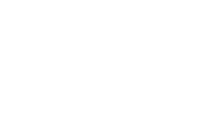 Shopify Plus Logo weiß