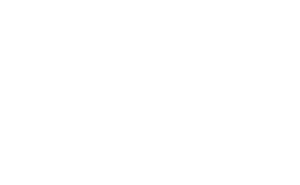 Zertifikat Shopify Expert weiß