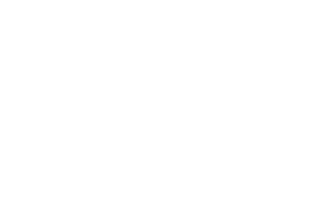 Shopify Partner Zertifikat weiß