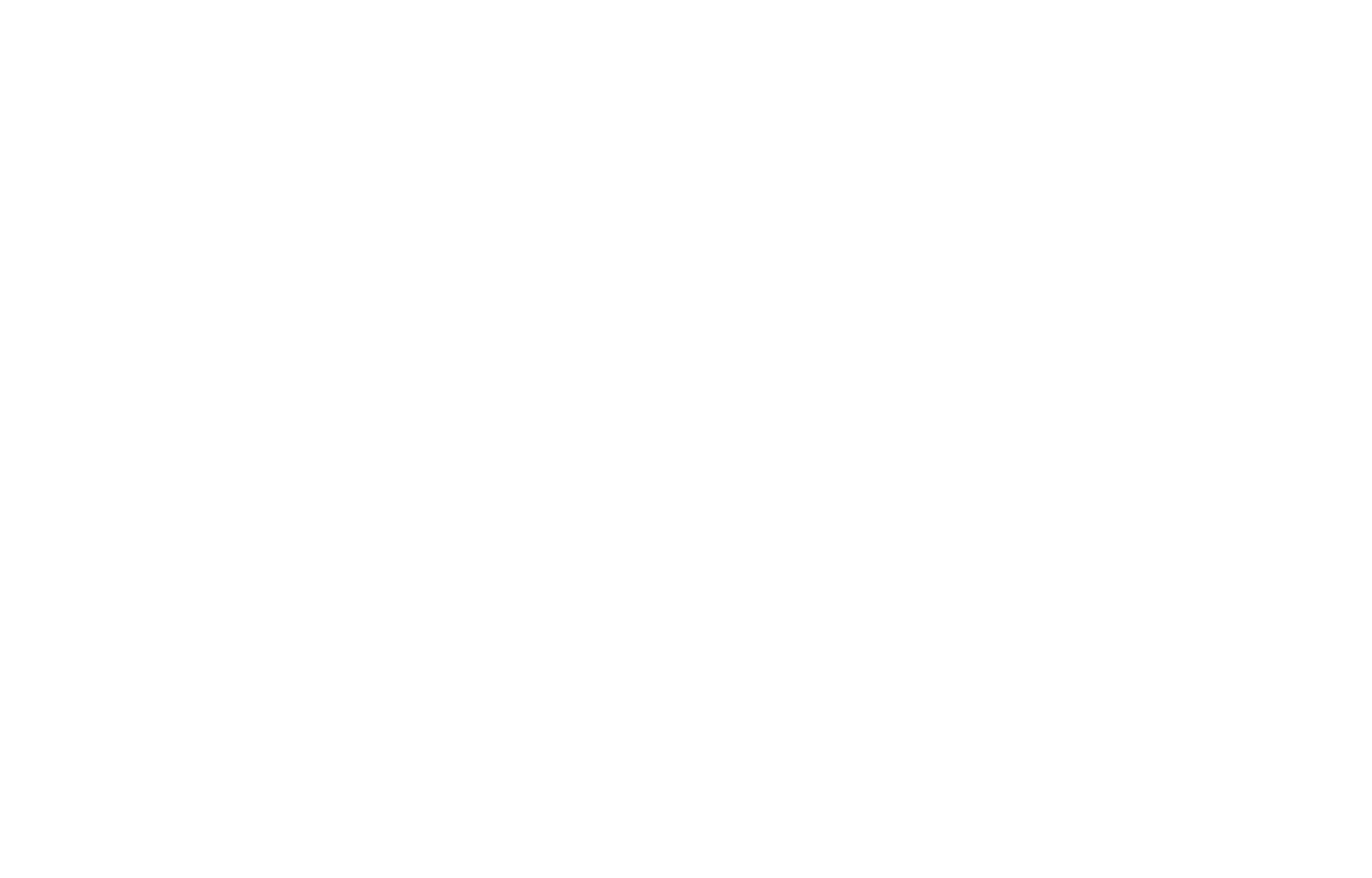 Logo Reybex Partner weiß