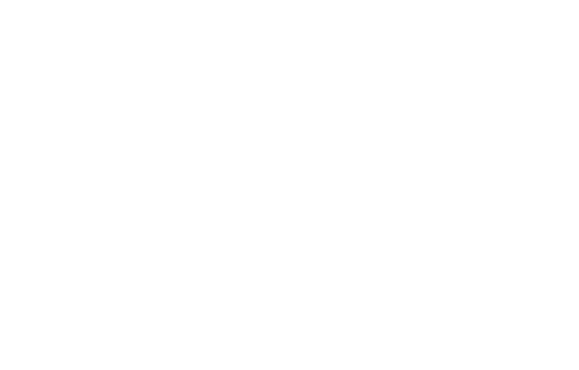 Logo Reybex Solution Partner weiß