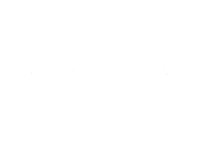 ChannelPilot Logo weiß