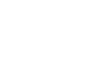 Google Ads Logo weiß